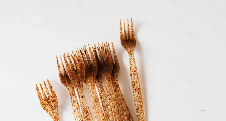 Bioplásticos en México: la economía circular encuentra una nueva generación de materiales